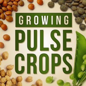 Growing Pulses Podcast logo