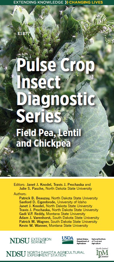 Pulse Crop Insect Diagnostic Series: Field Pea, Lentil and Chickpea