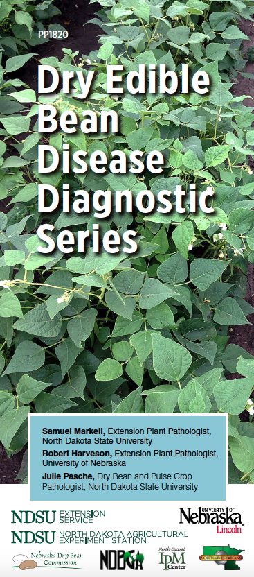 Dry Edible Bean Diagnostic Series